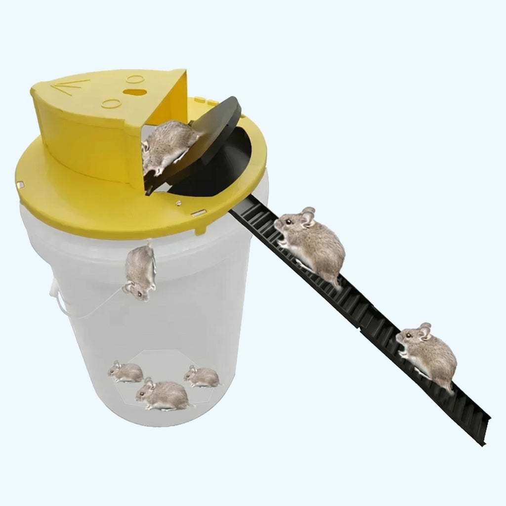 Smart Flip N Slide Bucket Lid Mouse Trap