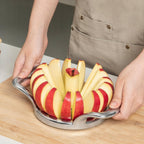 Stainless Steel Apple Corer and Slicer
