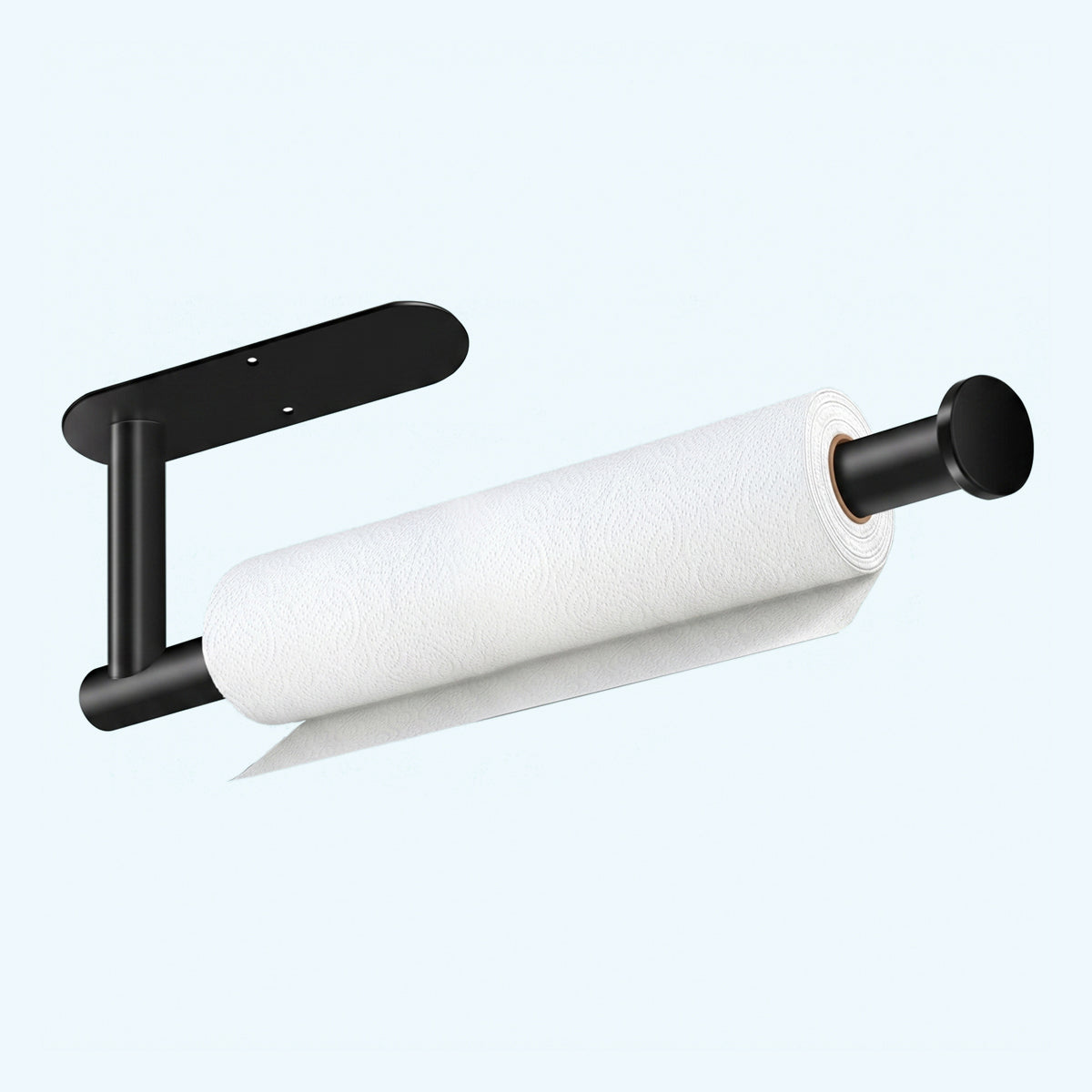 Stainless Steel Paper Towel Holder