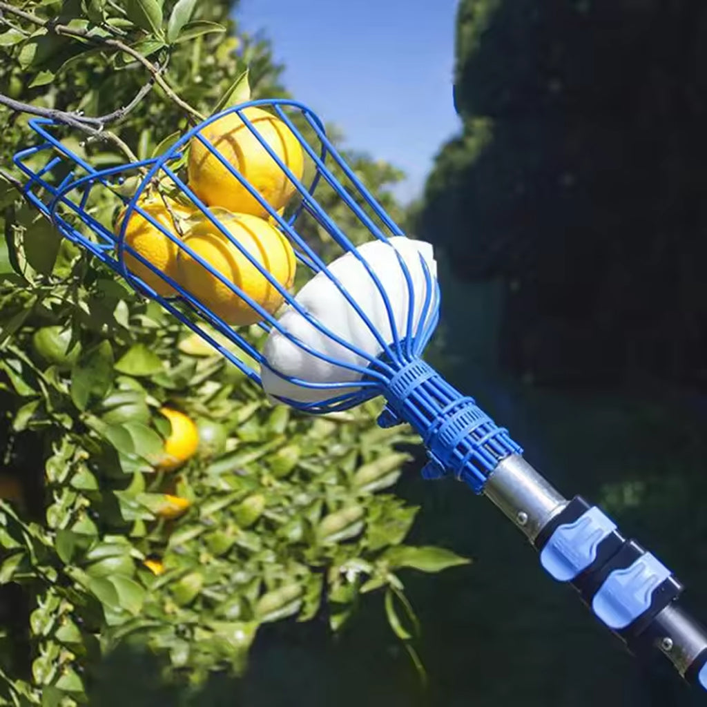 Deep Basket Fruit Picker Head