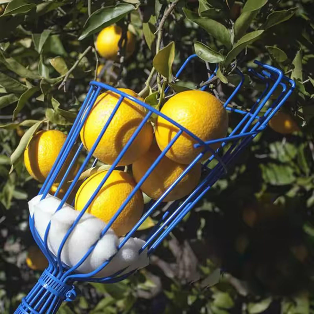 Deep Basket Fruit Picker Head