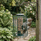 Squirrel-Proof Bird Feeder Cage