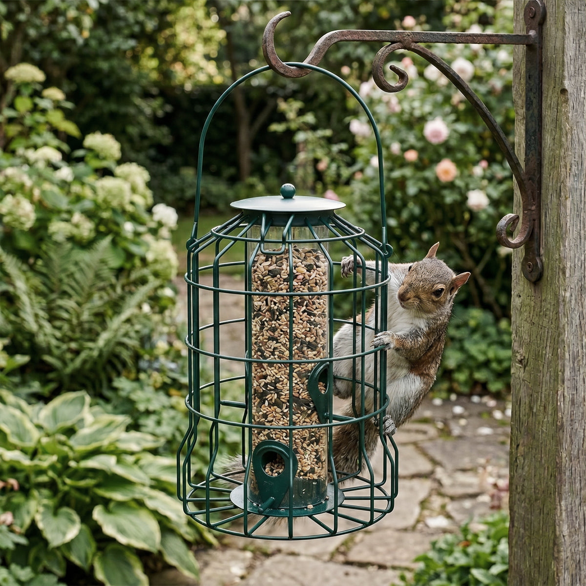 Squirrel-Proof Bird Feeder Cage