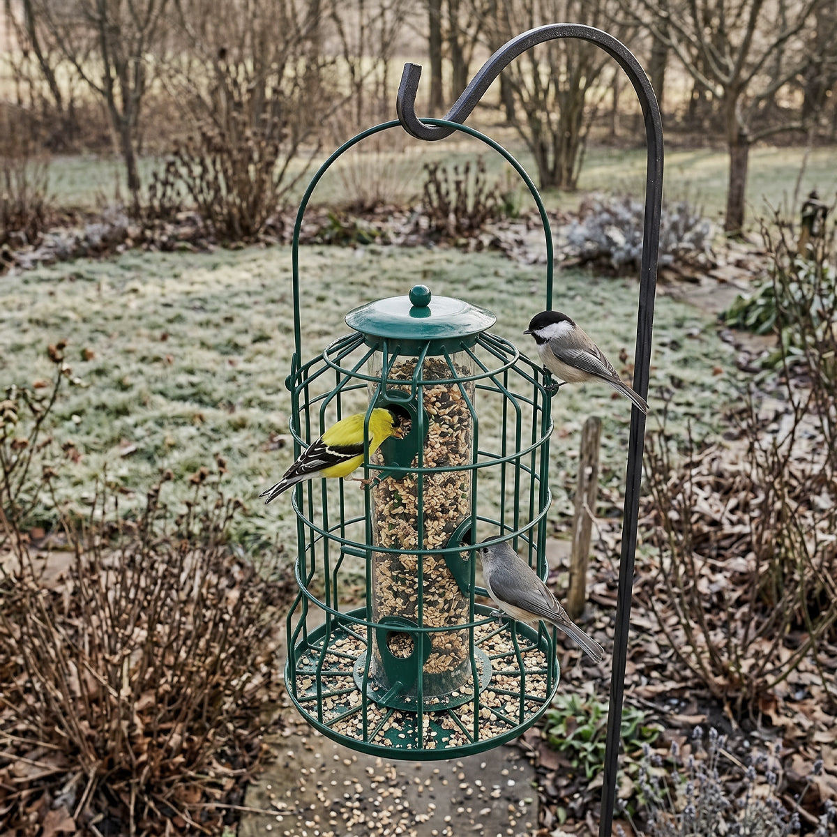Squirrel-Proof Bird Feeder Cage