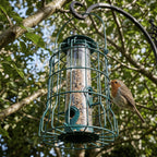 Squirrel-Proof Bird Feeder Cage