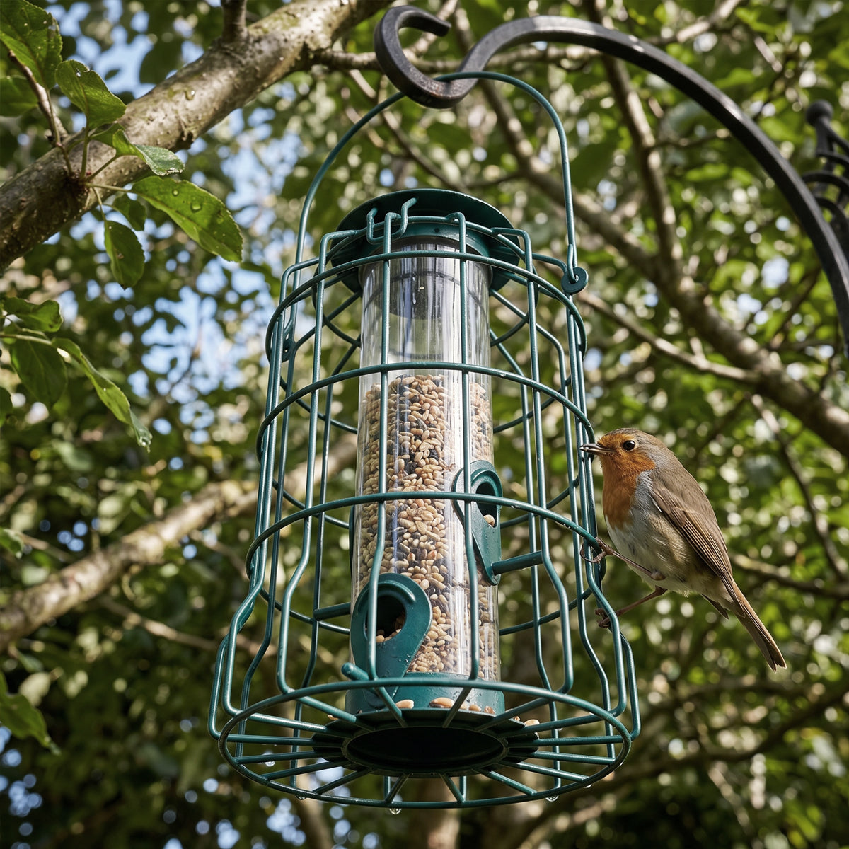 Squirrel-Proof Bird Feeder Cage