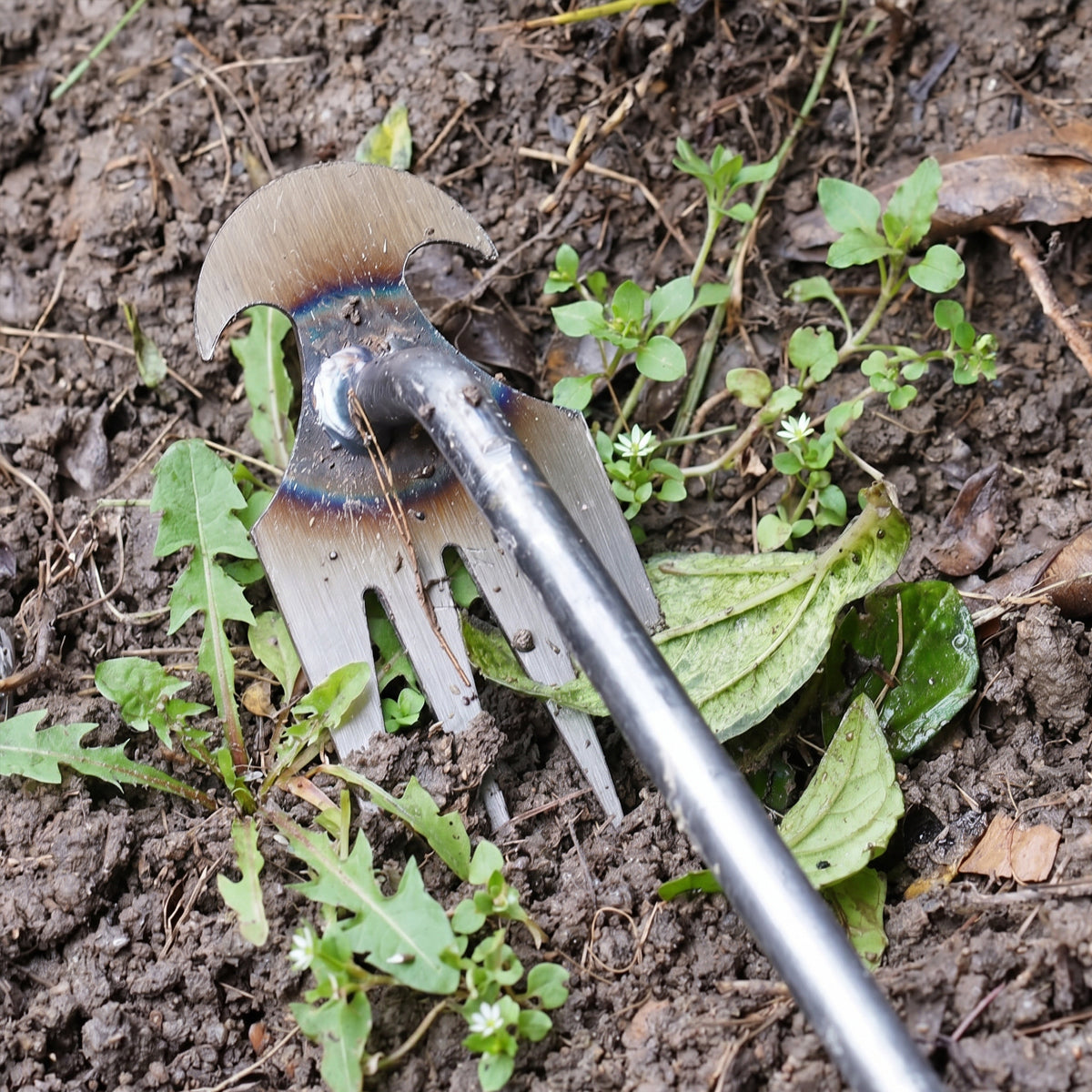 Durable Weed Puller Tool