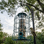 Squirrel-Proof Bird Feeder Cage