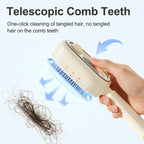 Electric Steam Hair Brush