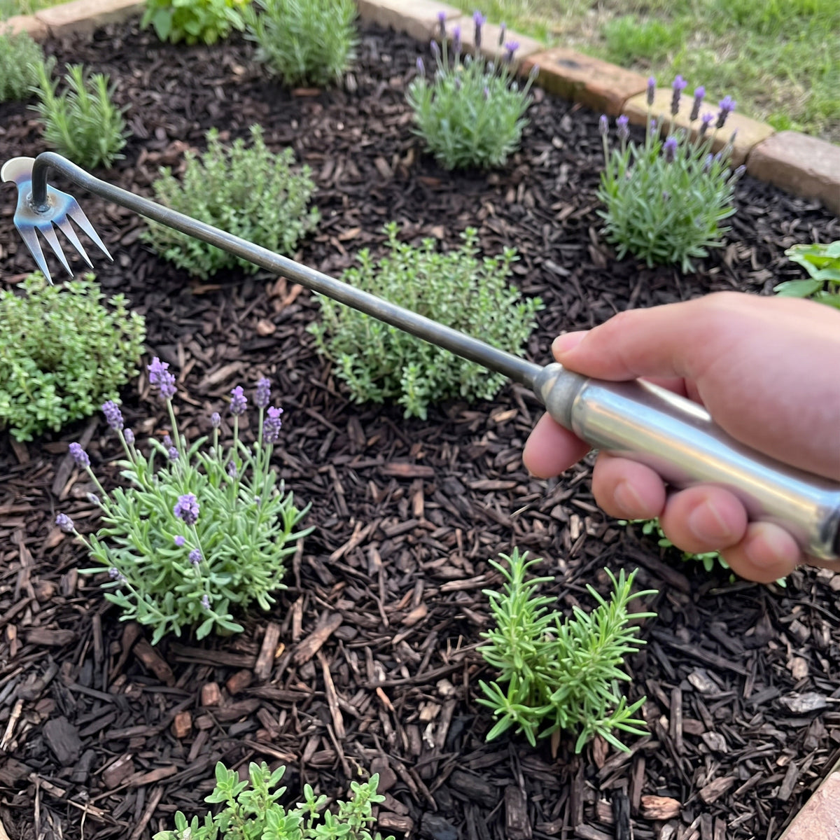 Durable Weed Puller Tool
