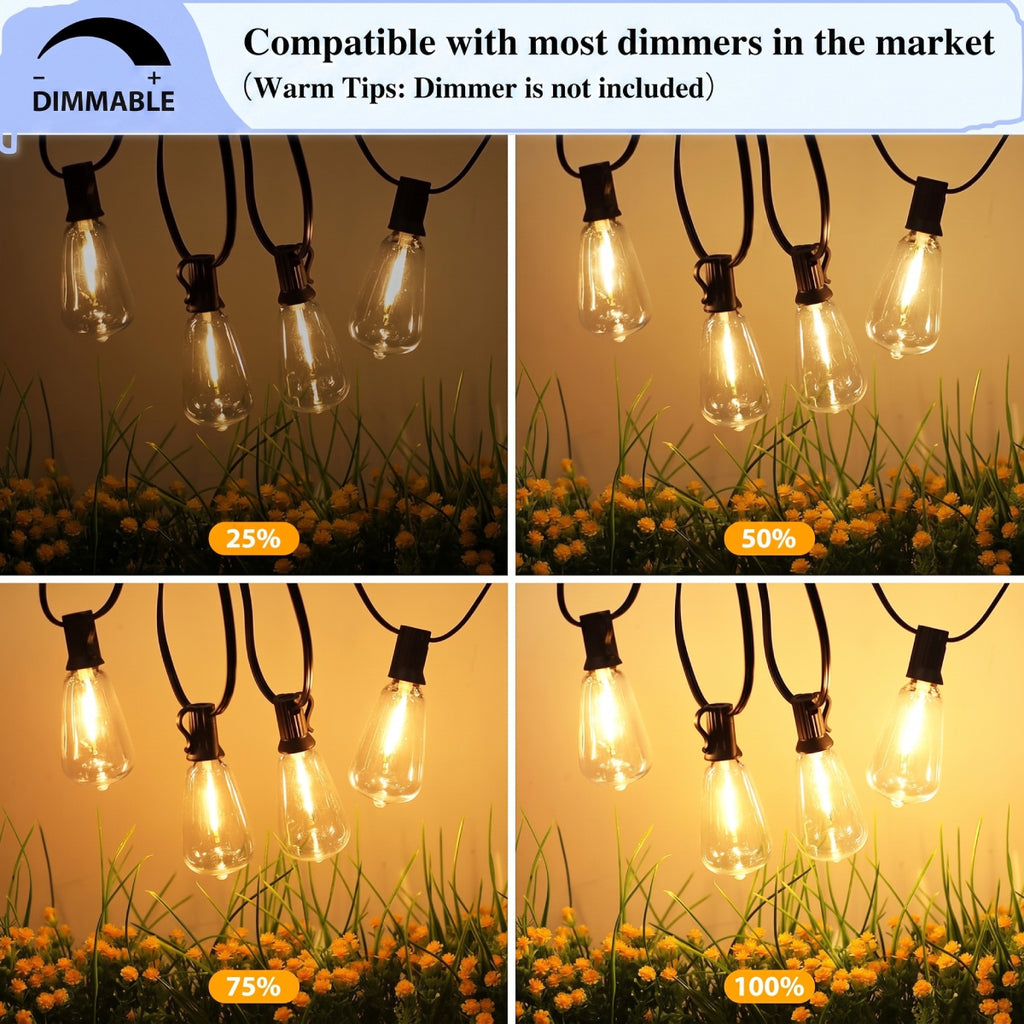 25FT Outdoor String Lights