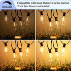 25FT Outdoor String Lights