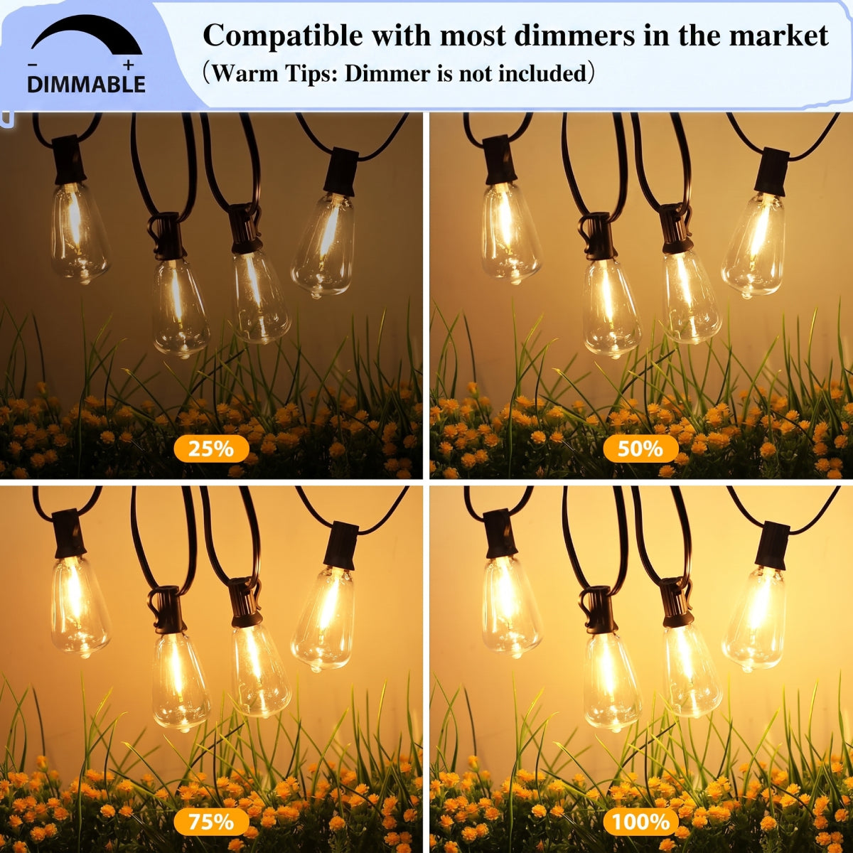 25FT Outdoor String Lights